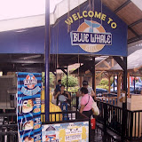 100_7536.JPG