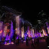 ayala triangle christmas (31).JPG