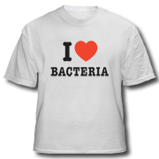 [bacteria[2].gif]