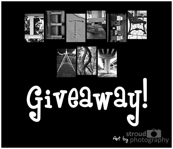 [LetterArtGiveaway14.jpg]