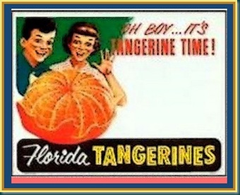 Tangerine Time YAY POST Tangerine Time YAY POST