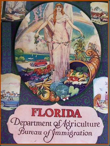 Fla Dreams Itself POST