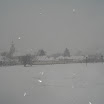 dsc07581.jpg