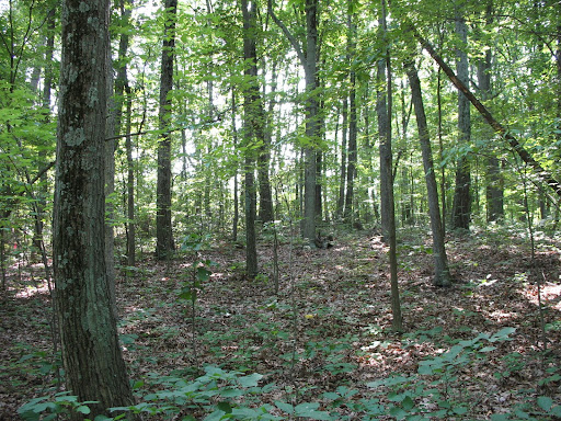 Near Gilbert’s Corner, land on New Mountain Road in Aldie, Virginia