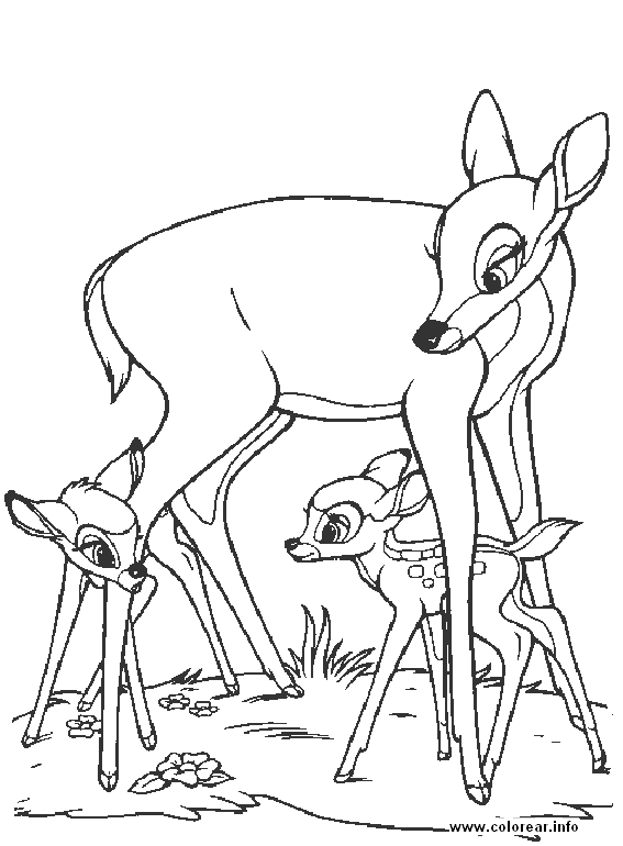 [Bambi08[2].gif]