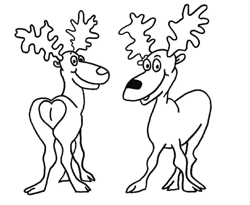 [Animal-Navidad-01[2].gif]