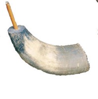 pito_de_cuerno_PNC_Realejos pito_de_cuerno_PNC_Realejos