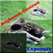 Exposure And Brightness