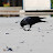 DSC_0155.JPG