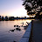 DSC_0241.jpg