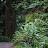 DSC_0350.jpg DSC_0350.jpg