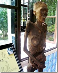 IMG_2279 IMG_2279