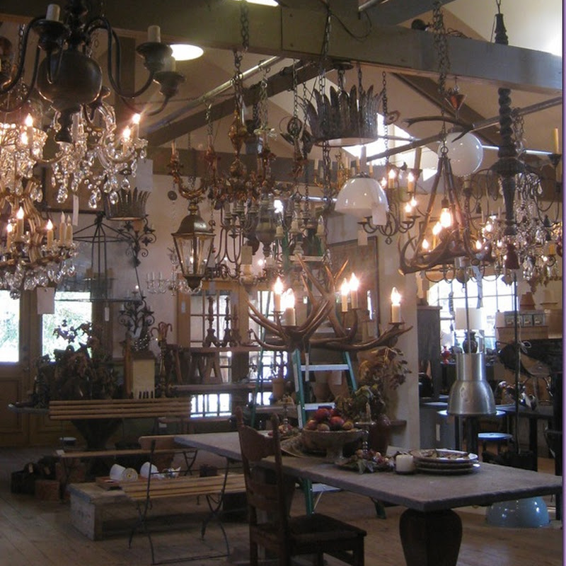Jill Brown and Her Lighting Store: brown