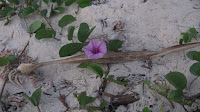 IMG_5510.JPG Photo