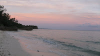 IMG_5533.JPG Photo