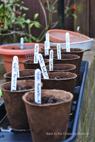[Seeds for friends[3].jpg]