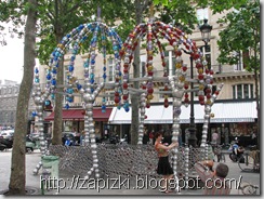 IMG_8118 IMG_8118