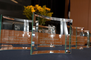 Vision Award 