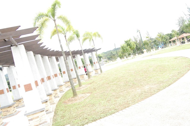[DSC_42093.jpg]