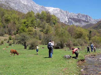 A Pie Turismo