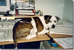scan0001