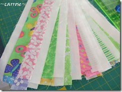 BF-Strips