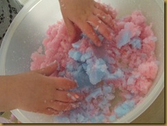 Science Day (2)