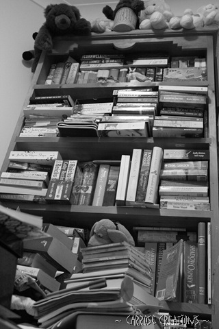 [The bookcase2[6].jpg]