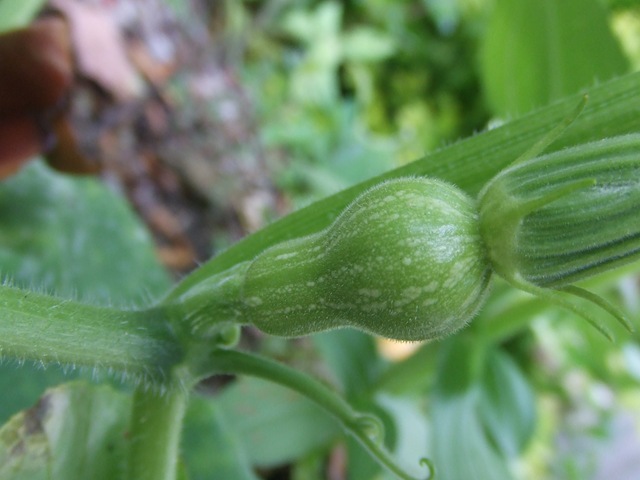 [2010_05060013[2].jpg]