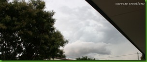 Summer Storms
