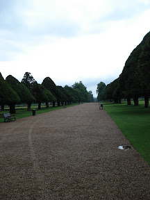 DSC01713.JPG