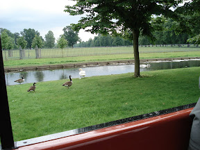 DSC01728.JPG