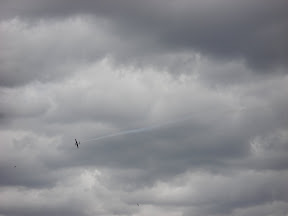 DSC02696.JPG