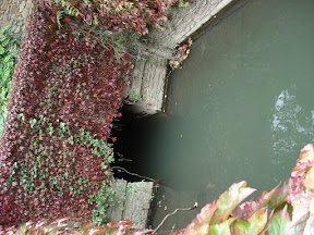 DSC03845.JPG
