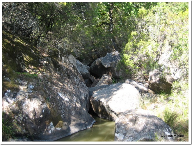 mtb - fuente de los arrieros 027