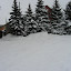 PICT5200.JPG