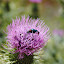 DSC_2744.JPG