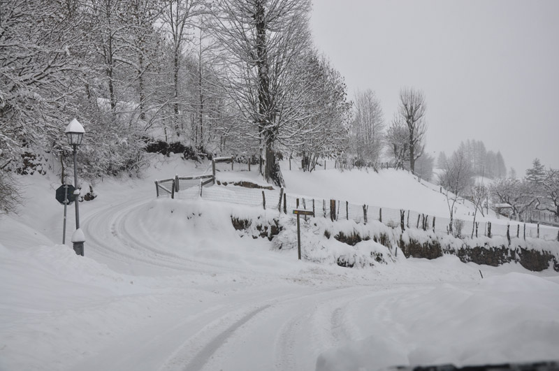 DSC_7253.jpg DSC_7253.jpg