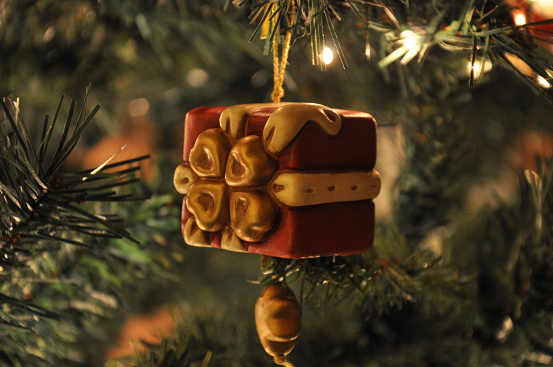 DSC_7955.jpg DSC_7955.jpg