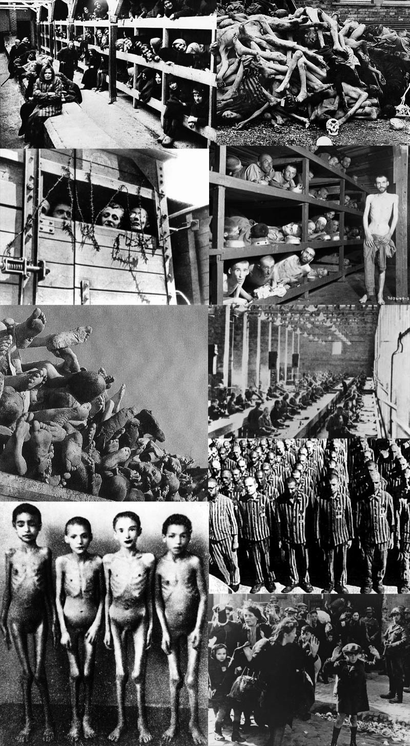 gevangenen-auschwitz.jpg gevangenen-auschwitz.jpg
