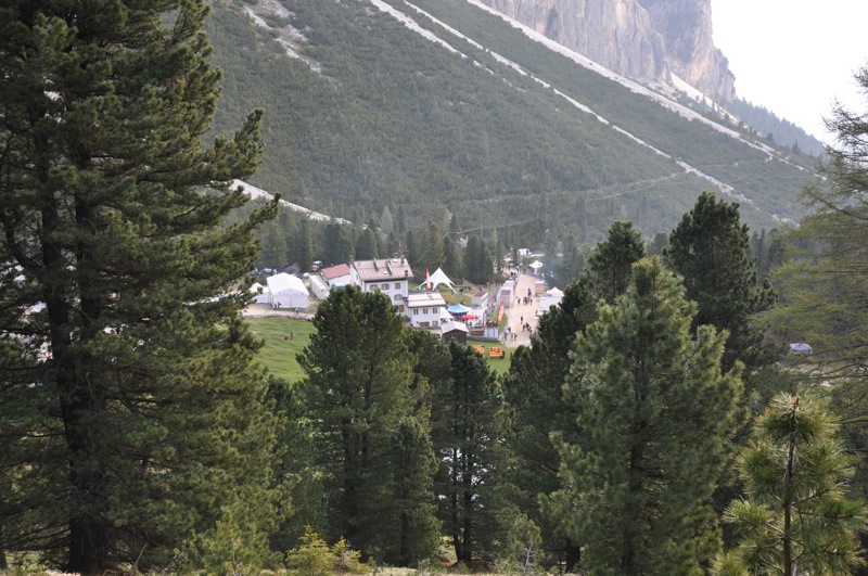 DSC 5391