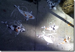 Koi