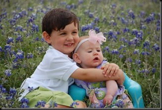bluebonnets 09