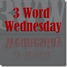 3wordwednesday