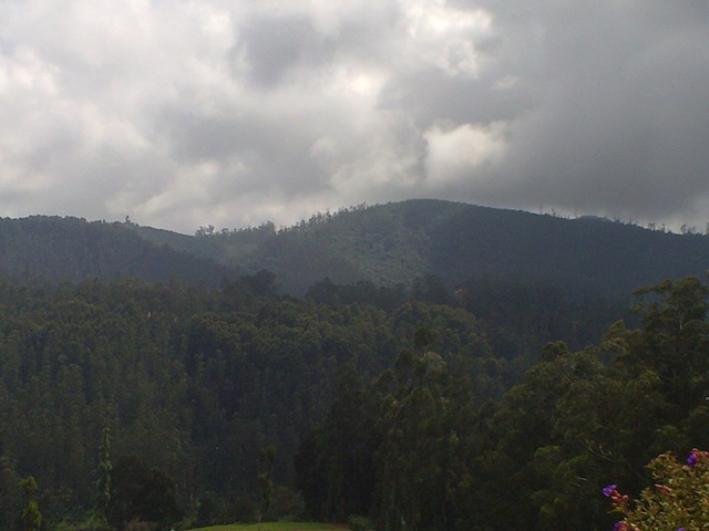[131120103486.jpg]