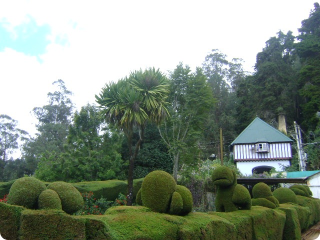DSC02331