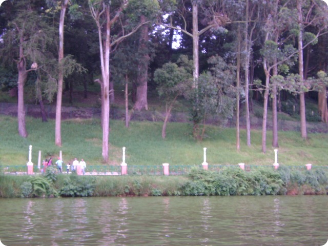 DSC02388