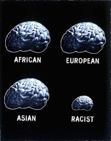 [racist-brain-380x500[4].jpg]