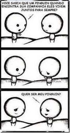 Quer ser meu pinguim ... Quer ser meu pinguim ...