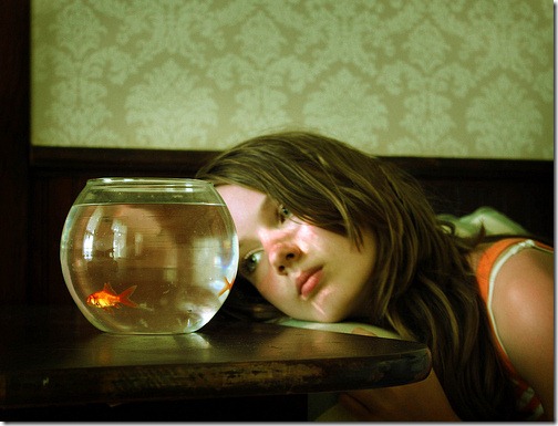 more freak show foto arte peixes fish (6) more freak show foto arte peixes fish (6)